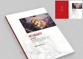 广州高档名片 广州宣传单画册印刷 广州印刷服务公司